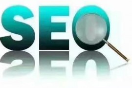 【SEO】如何做好网站首页排名获得大量有效访客?